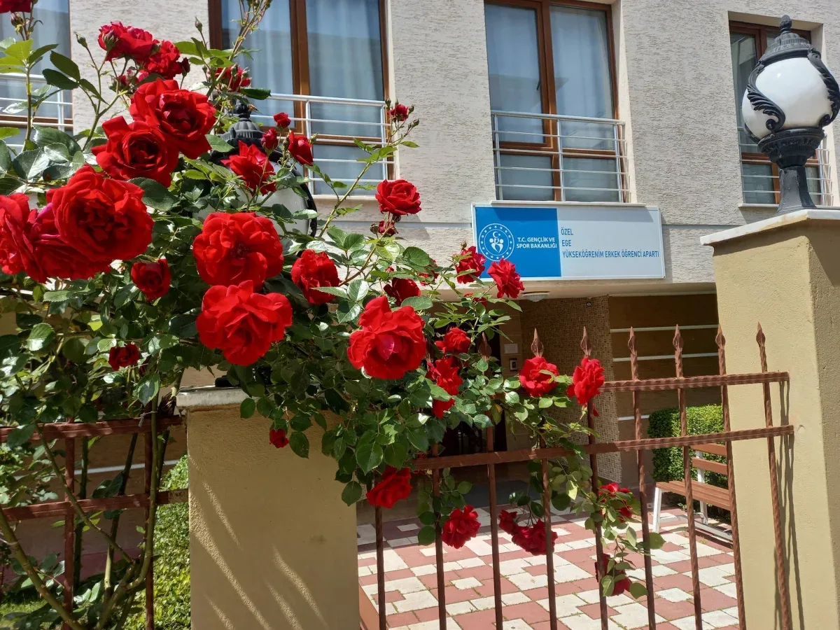 Ege Erkek Apart fotoğraf 5